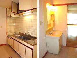 ���ٕs���Y���݁@�y�b�g�@����萔������