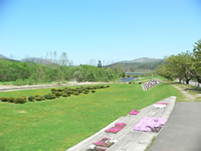大野川せせらぎ公園 北斗市本町2丁目 TBA